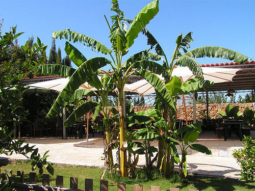 Agriturismo Agave Фертилия Екстериор снимка